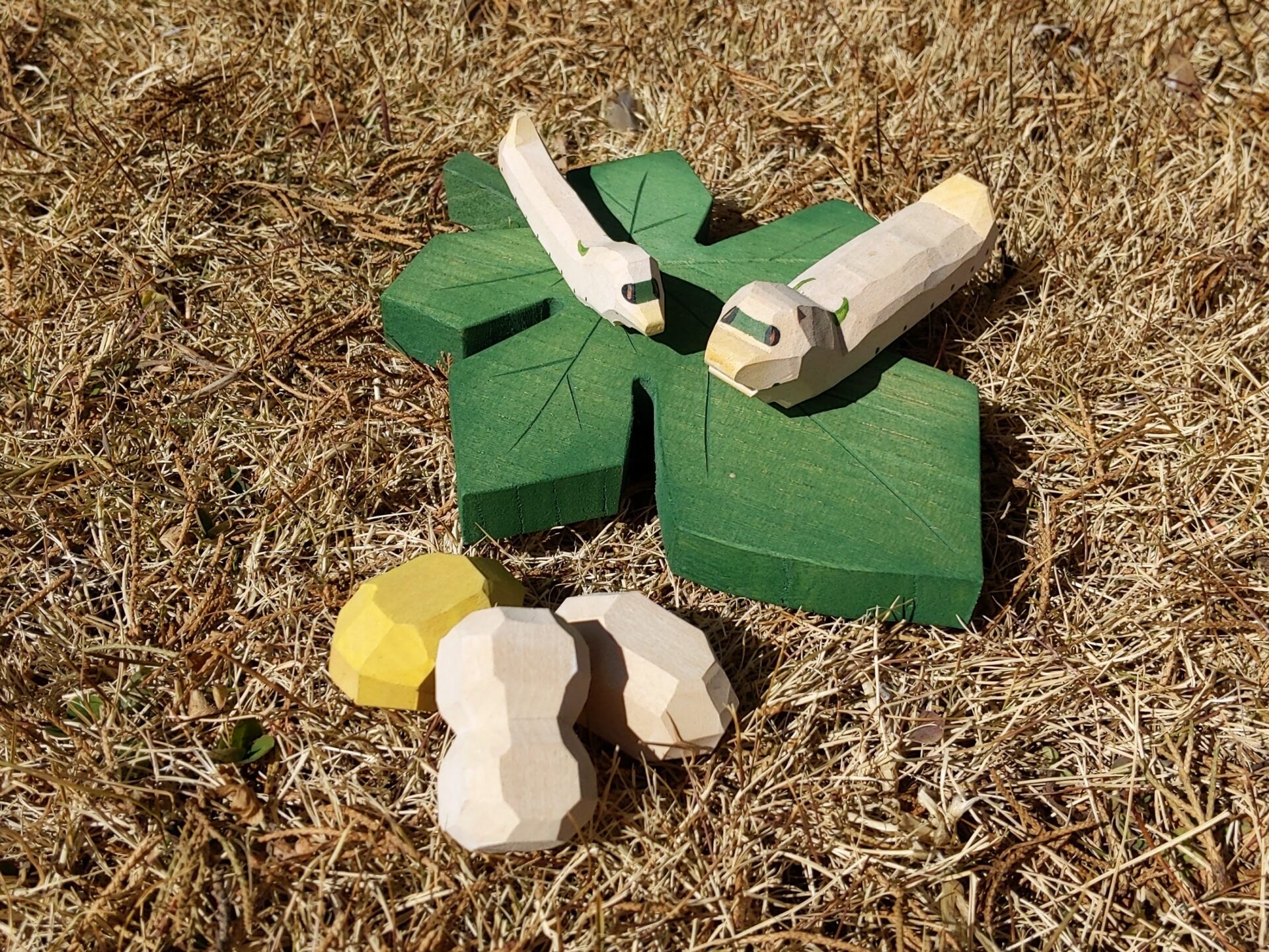 写真４：蚕と繭と桑